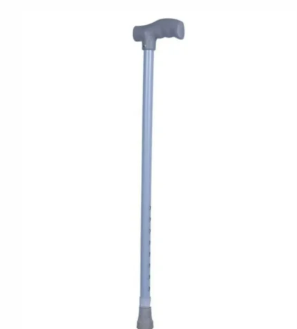 Single Leg Walking Stick